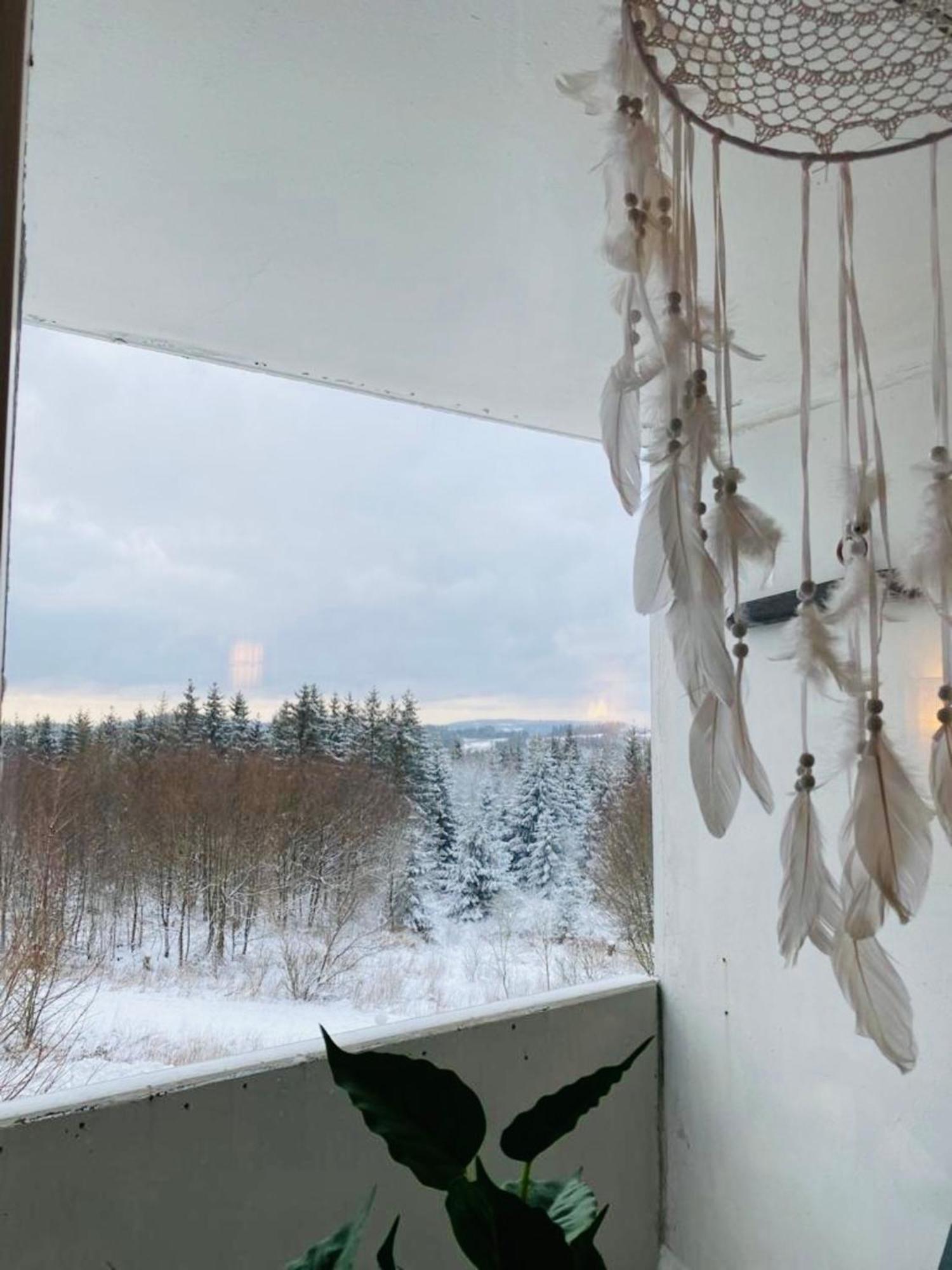 Hahnenklee Hills Apartman Goslar Kültér fotó